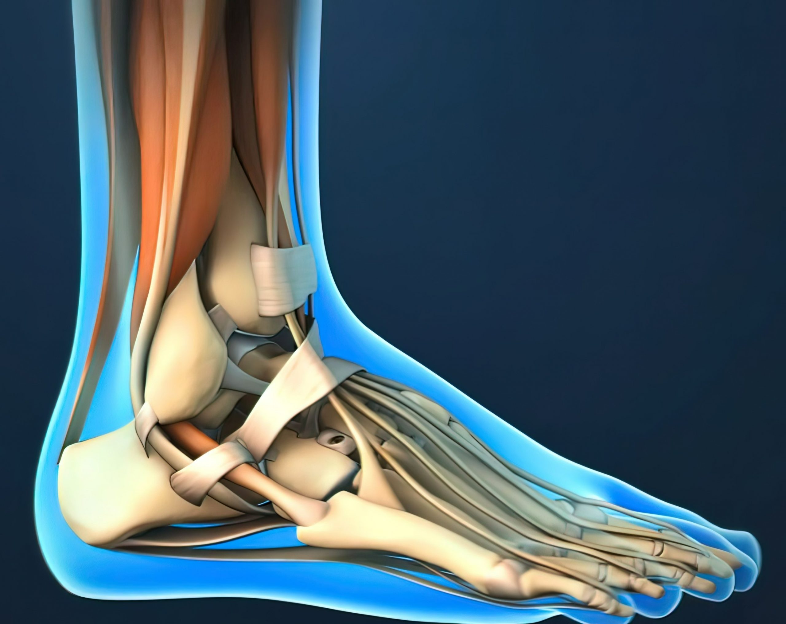 dollar Displacement Certifikat Ankle Surgery - LexiMed