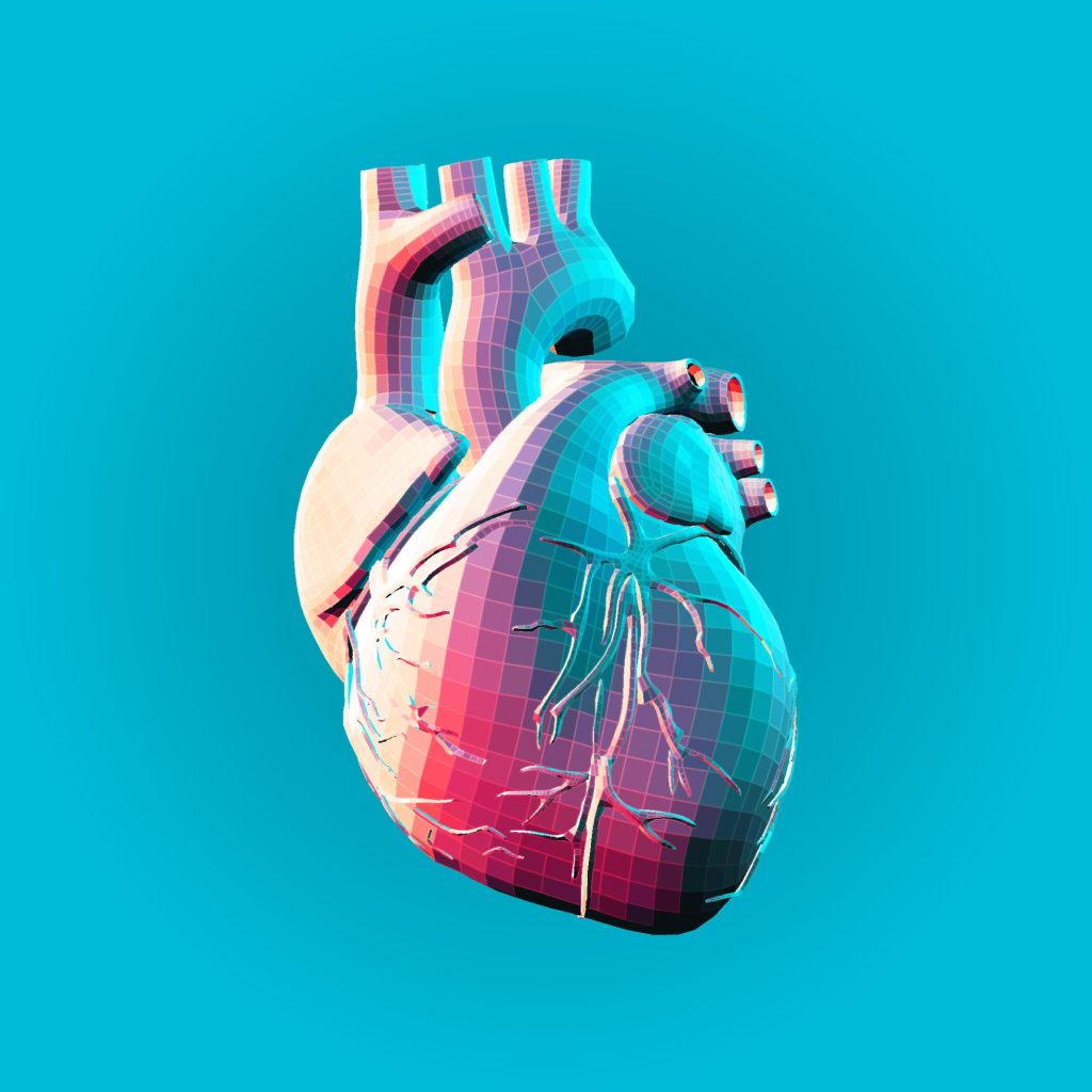 The Human Heart Image