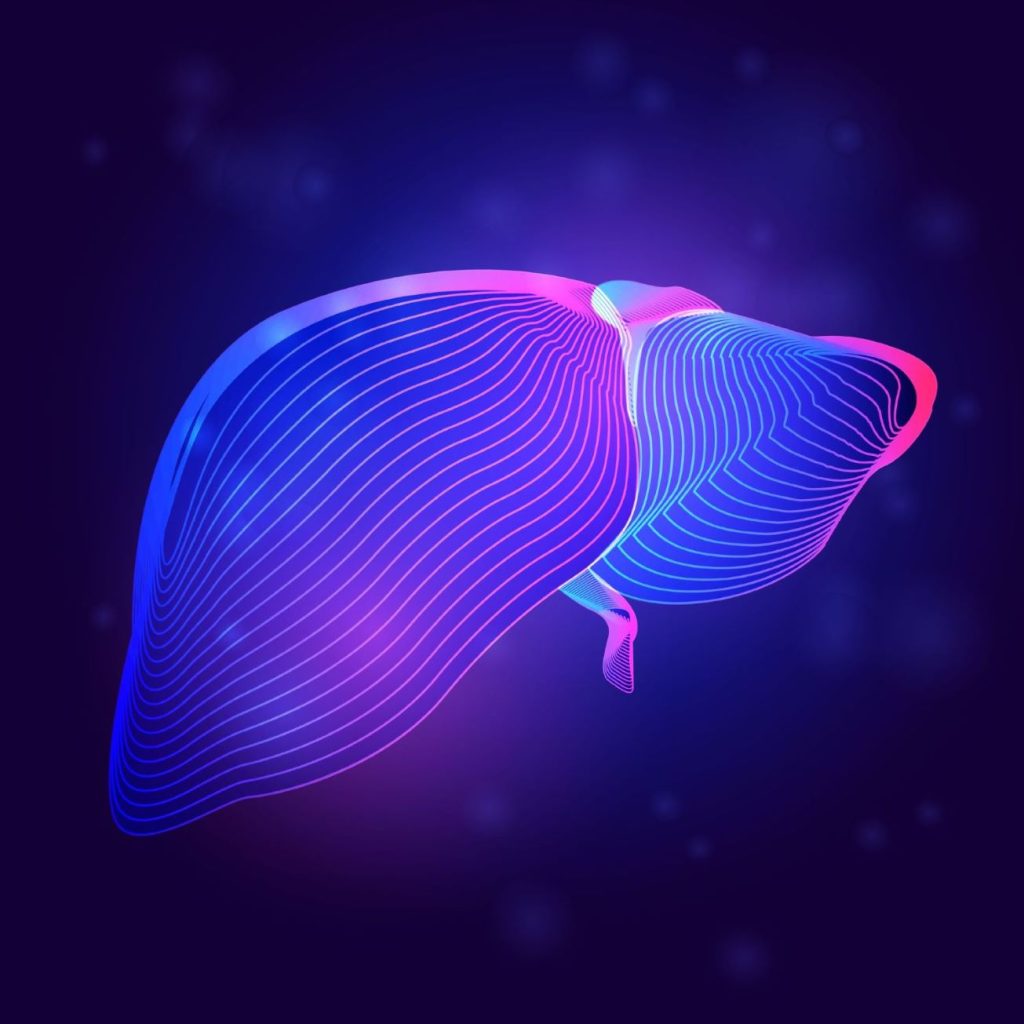 Liver Image