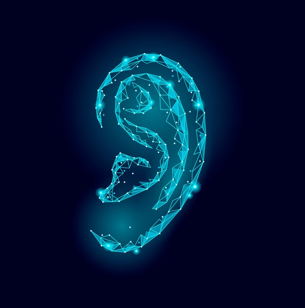 The Human Ear Image