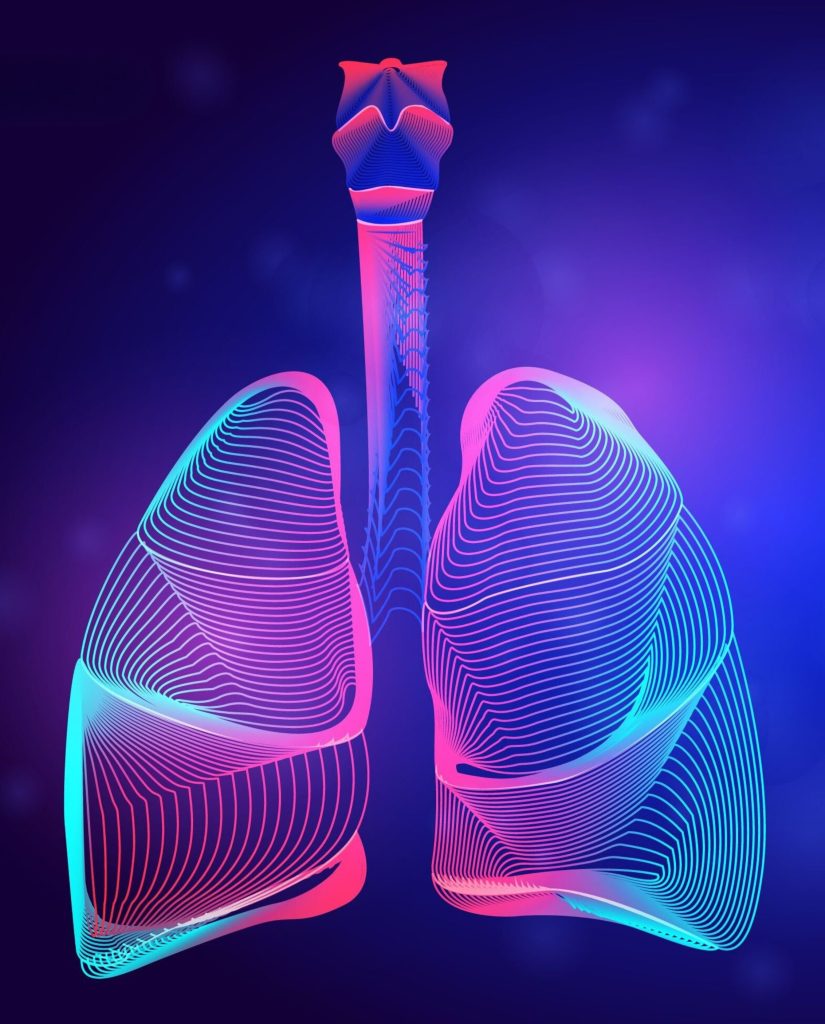 Lungs Image