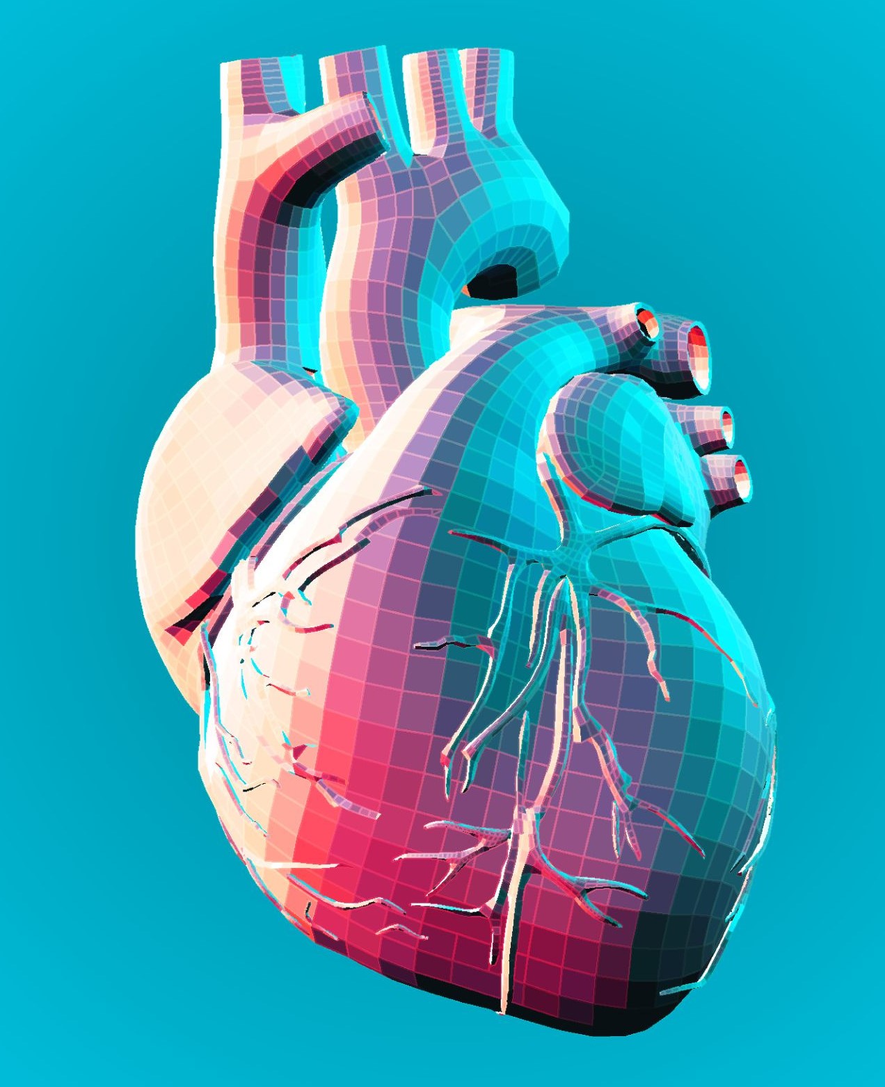 The Heart Image
