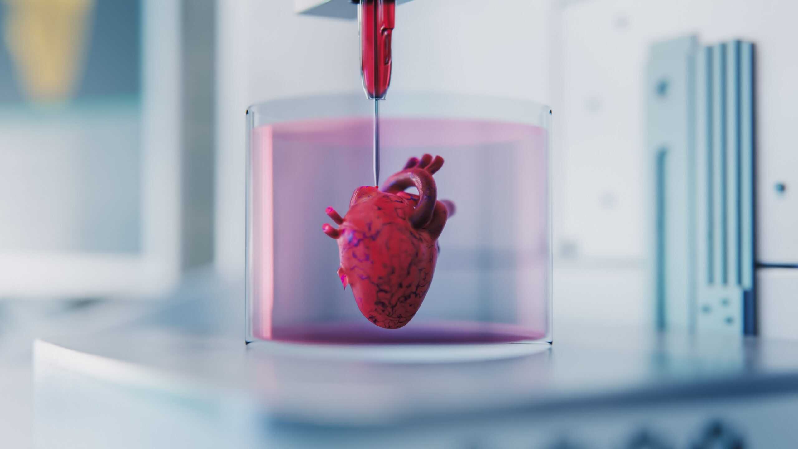 3D Printing Medical Heart