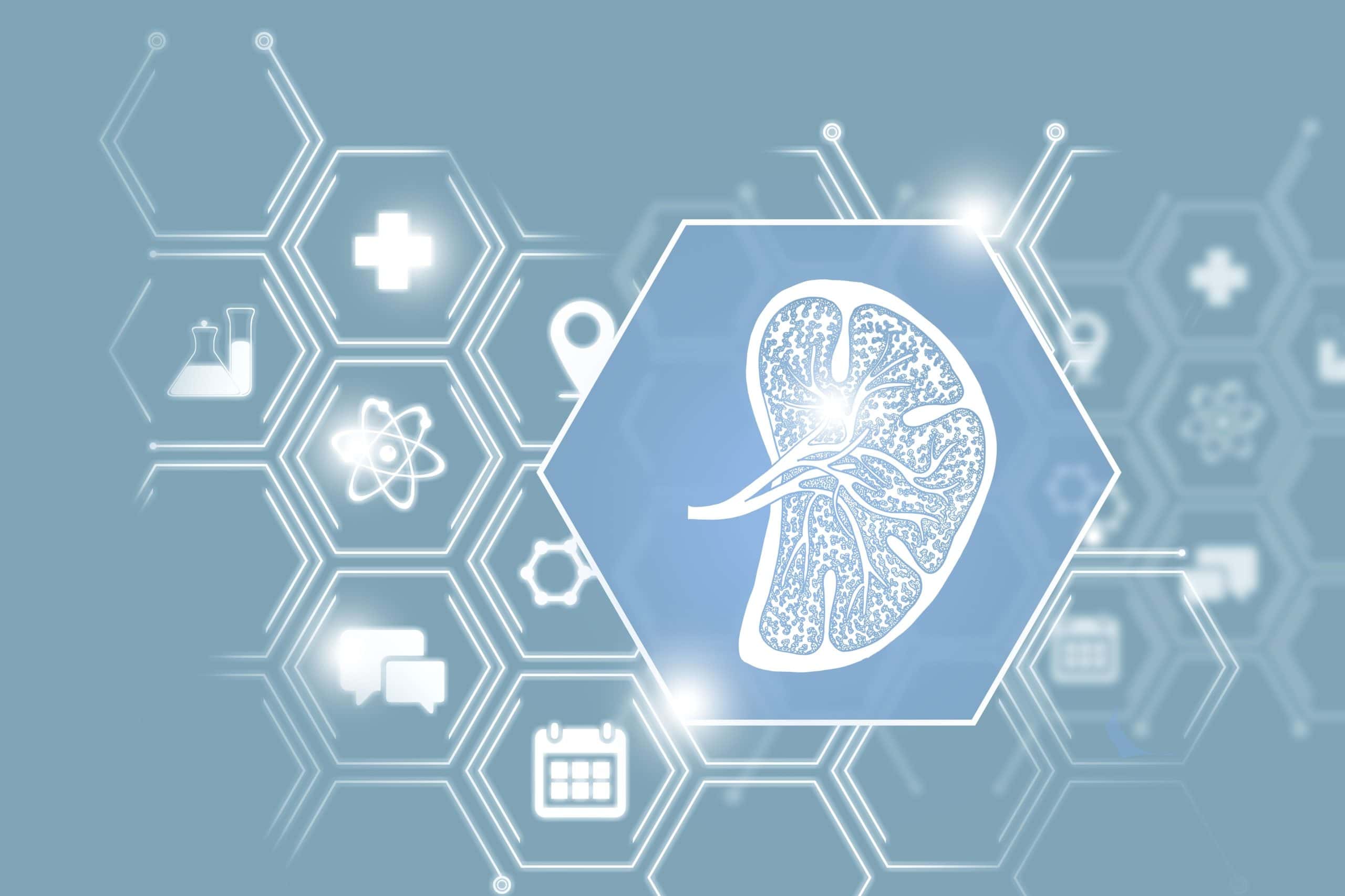 The Spleen Image