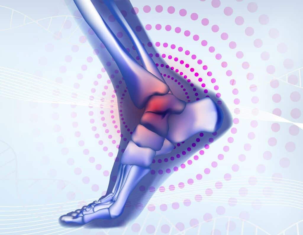 Foot Image