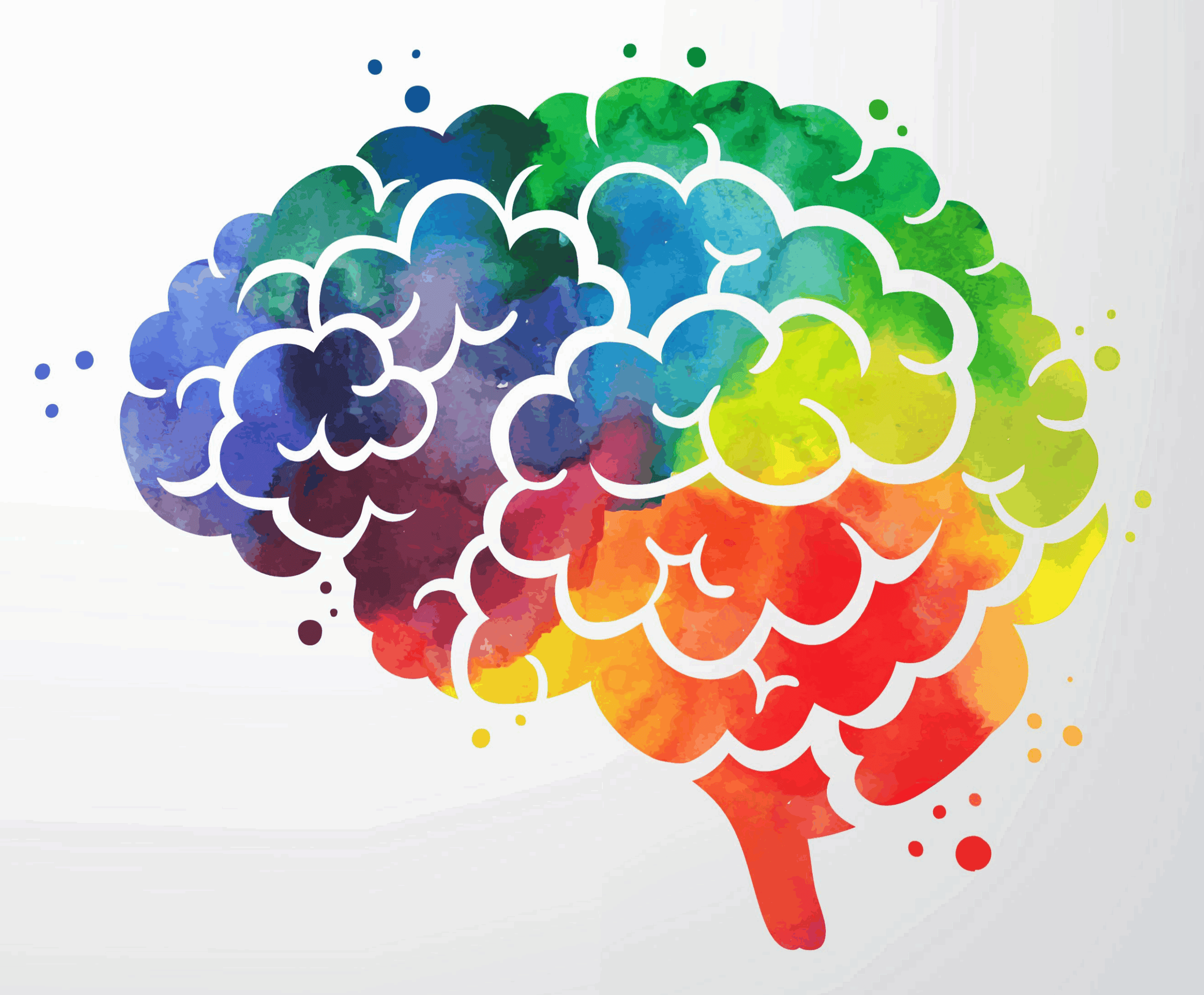 Image of the Human Brain