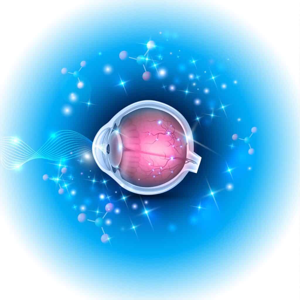 The Human Eye Image